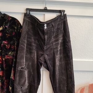 Pilcro Dark Brown Corduroy Pants